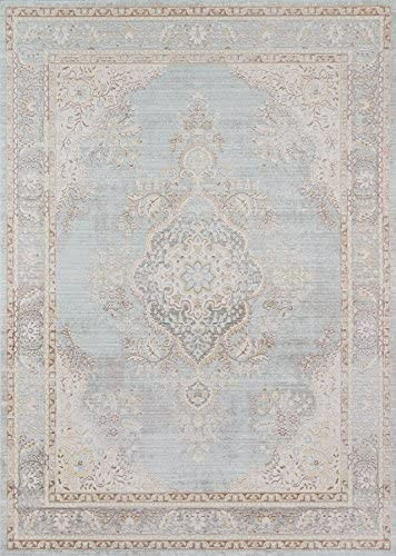 Momeni Rugs Isabella Traditional Medallion Flat Weave Area Rug, 4' X 6', Blue | Amazon (US)