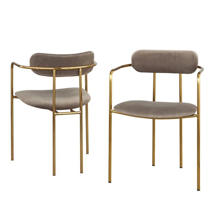 Carrigan Arm Chair (Set of 2) | Wayfair North America