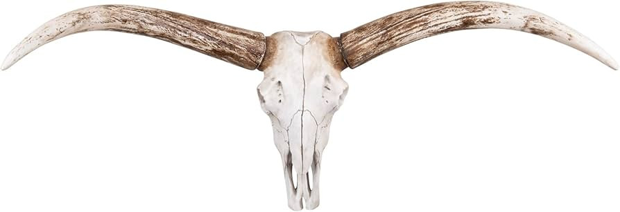 Creative Co-Op Resin Steer Skull Wall Décor | Amazon (US)