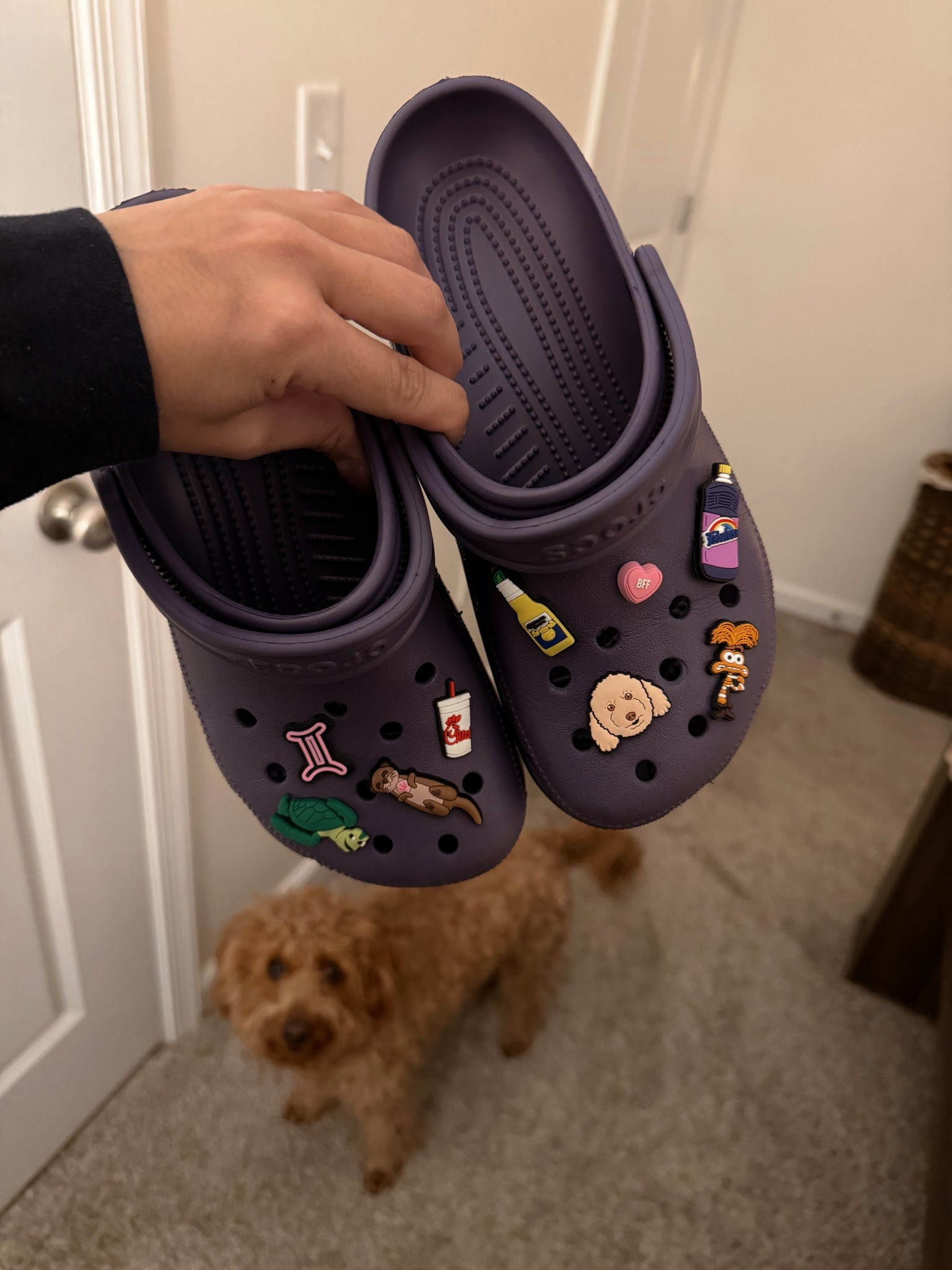 #LTKootd #LTKmomlife #LTKgrwm