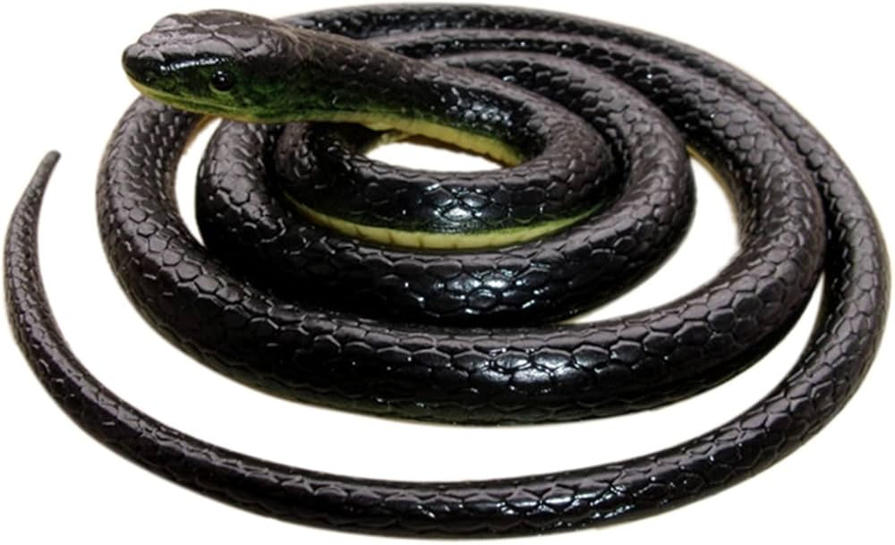 Brandon-super Realistic Rubber Black Snake 52 Inch Long Scare Toy | Amazon (US)