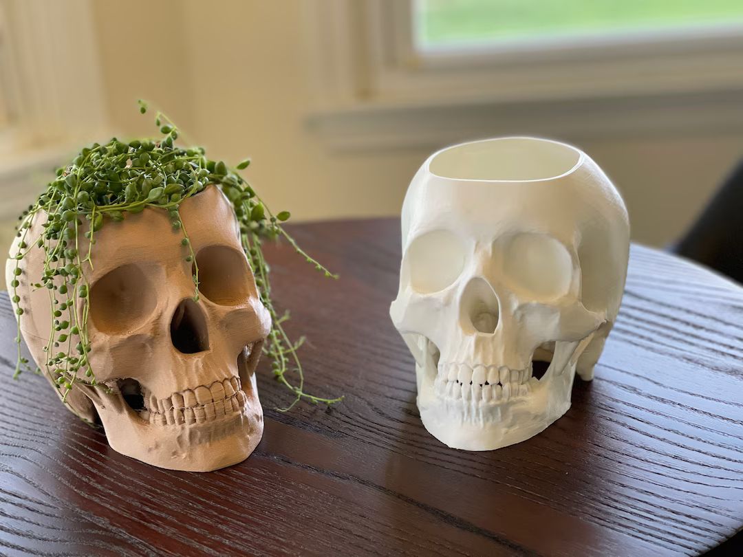3D Printed Skull Pots/planters - Etsy | Etsy (US)