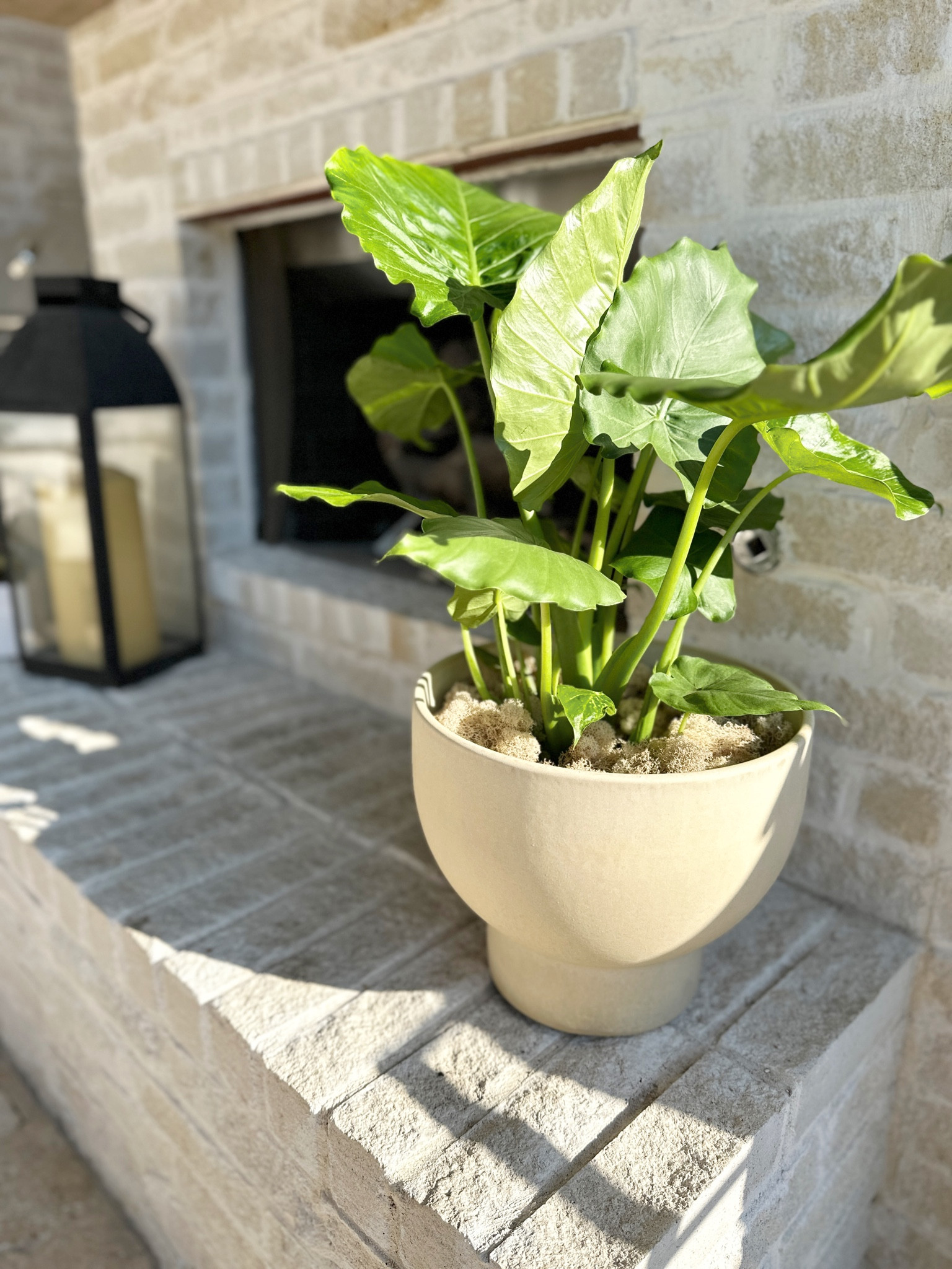 Outdoor planter and plant vibes! 

Outdoor decor. Patio design. Patio decor. Neutral patio. Restoration hardware. Studio McGee. McGee and co. Target home. Amazon home. Outdoor lantern. Planter pot. Neutral decor.

#LTKstyletip #LTKhome #LTKitbag