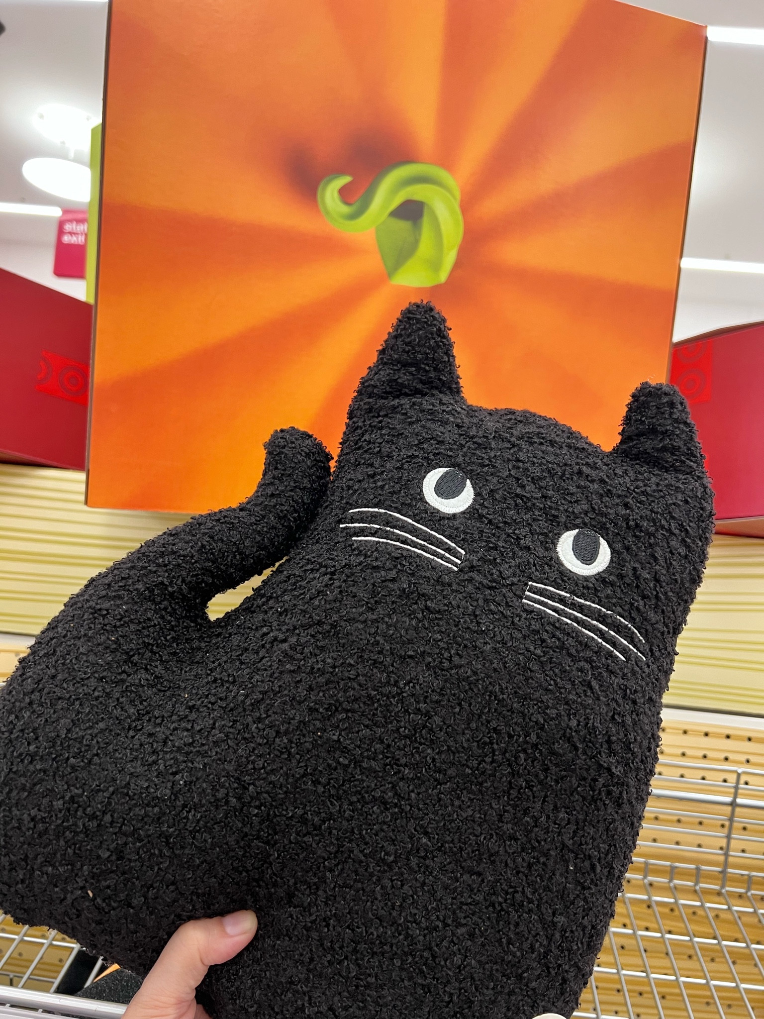 Witches, cat ladies or kiddos will love this black cat for the Halloween season.

#LTKHome #LTKKids #LTKSeasonal