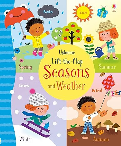 Lift The Flap Seasons And Weather     Board book – January 1, 2018 | Amazon (US)