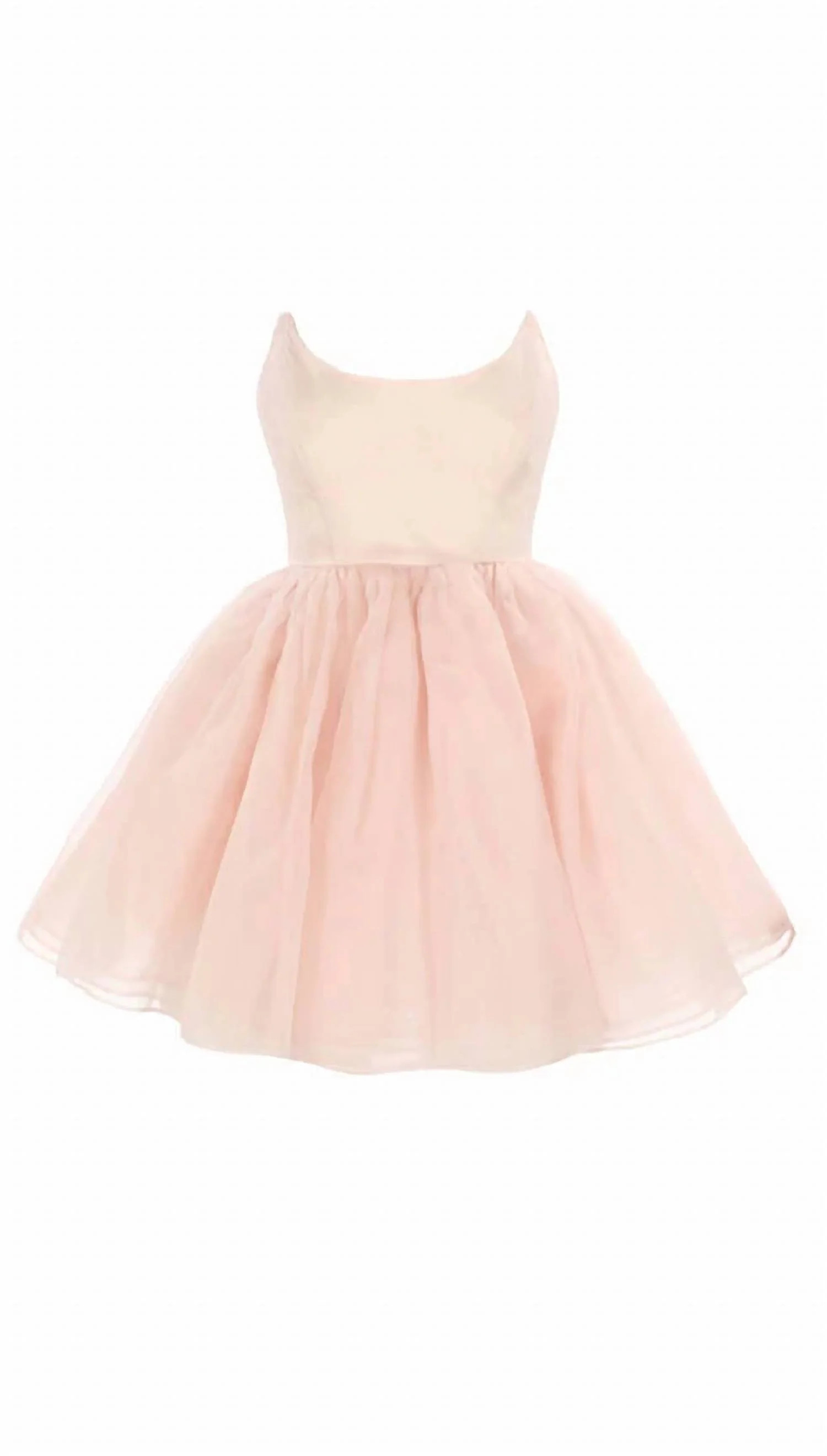 Women's Veuve Dress In Blush | Shop Simon