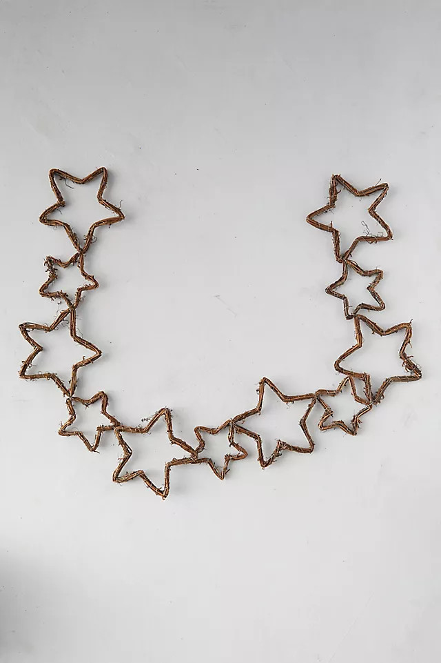 Starry Grapevine Garland | Anthropologie (US)