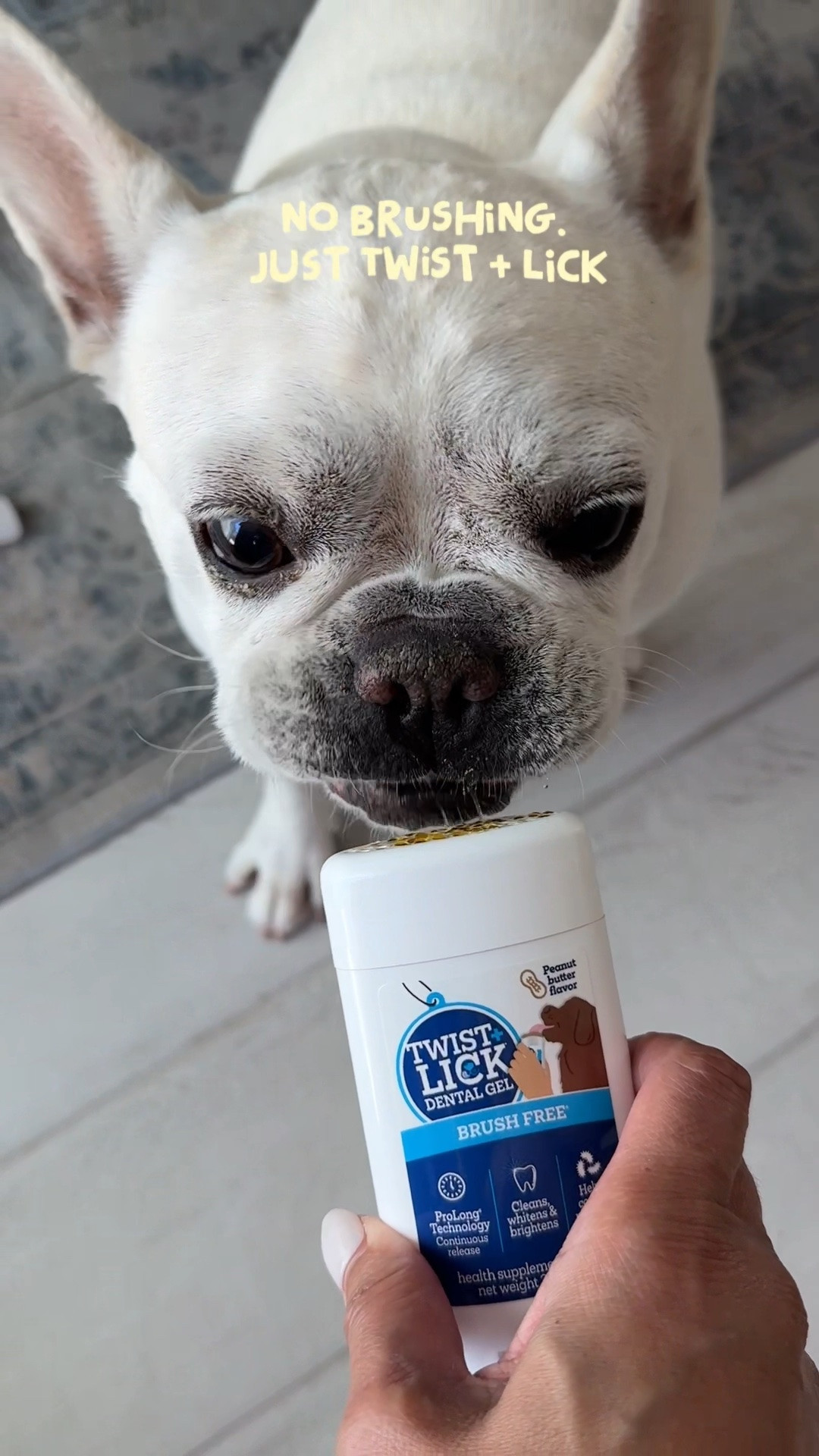 Dog dental gel

#LTKmorningroutine #LTKmomlife