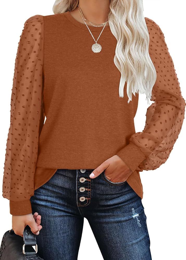 WIHOLL Long Sleeve Shirts for Women Tops Tunic Fall Trendy Crew Neck Clothes | Amazon (US)