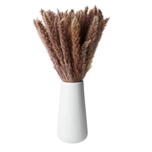 Farmlyn Creek 40 Pack Brown Natural Dried Pampas Grass Branches with White Ceramic Vase, Plants f... | Target