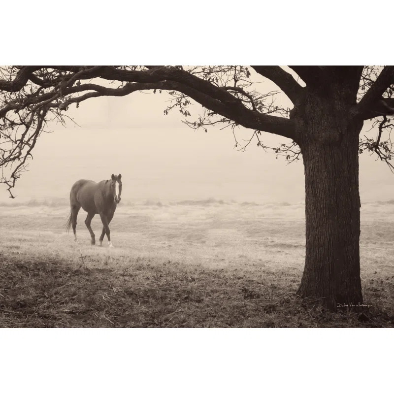 " Hazy Horse I " by Debra Van Swearingen on Canvas | Wayfair North America
