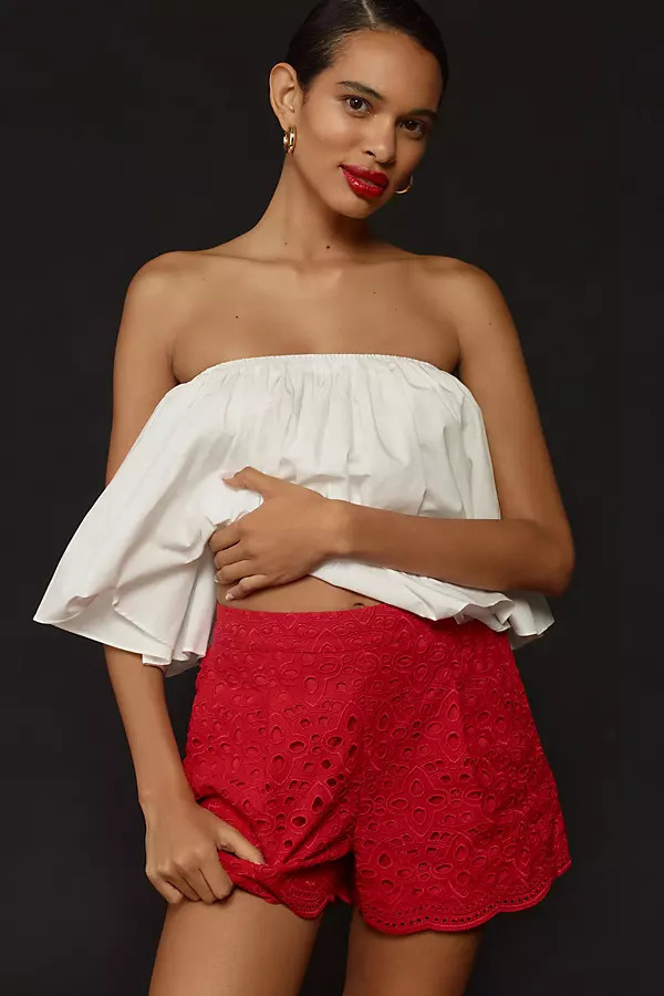 Embroidered Shorts | Anthropologie (US)