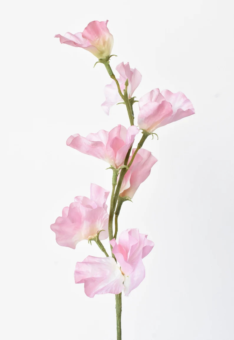 22 Faux Light Pink Sweet Pea Stem - Etsy | Etsy (US)