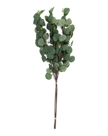Set Of 3 Eucalyptus Stems | TJ Maxx
