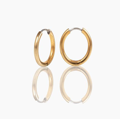 | Hypoallergenic Earrings | Titanium Rooftop Hoop Earrings | 0.5" Small Gold Finish | Titanium Go... | Amazon (US)