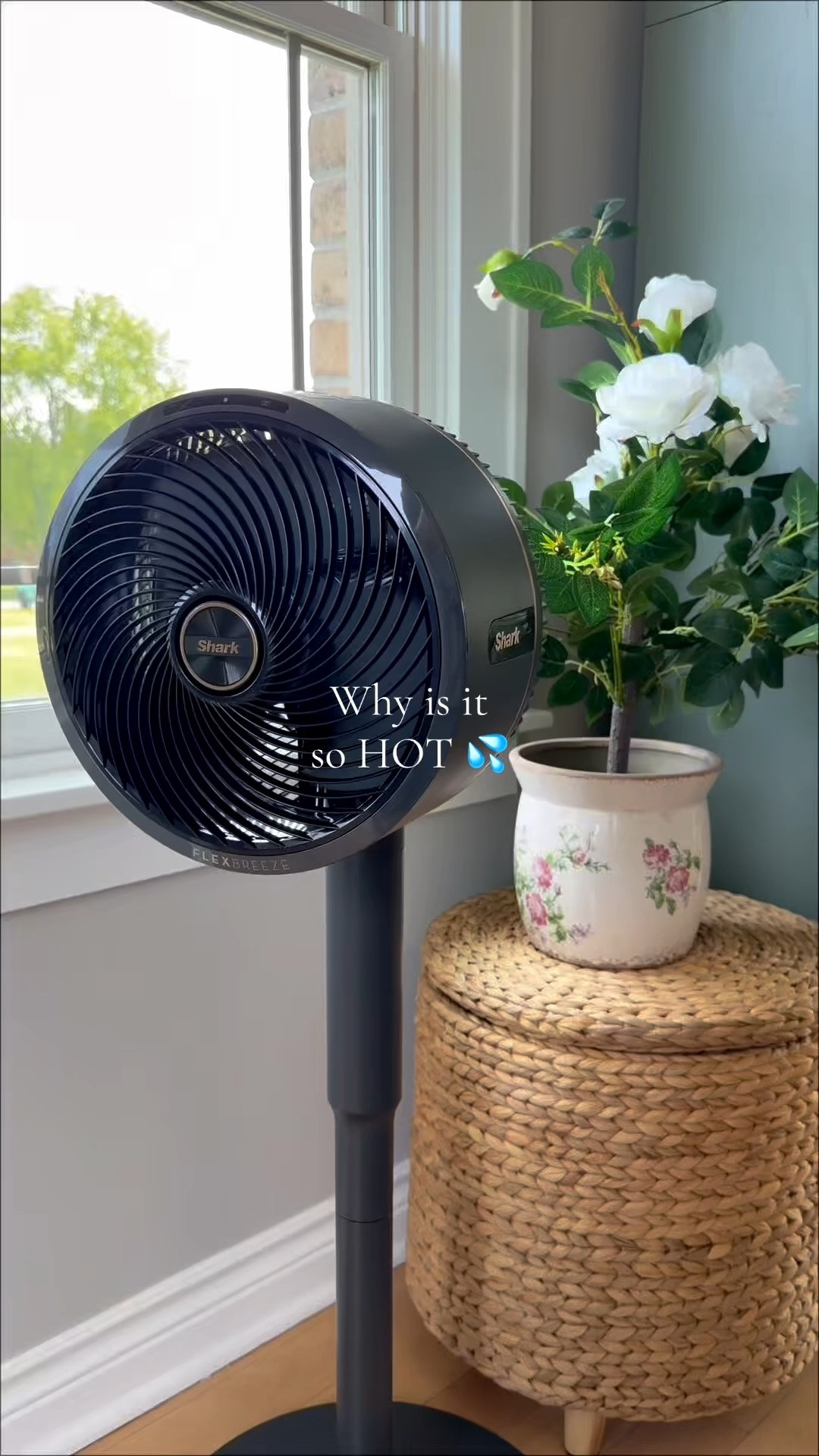 Shark FlexBreeze 💨💦
 #mistingfan #summermusthaves #coolingfan #fan #staycool

#LTKSeasonal #LTKHome #LTKSaleAlert