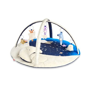 Skip Hop Celestial Dreams Activity Gym | Indigo (CA)