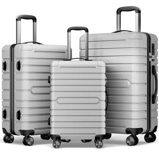 3-Piece Silver Luggage Sets Hard Shell Luggage Sets with Spinner Wheels TSA Lock, 20 in. 24 in. 28 in. | The Home Depot