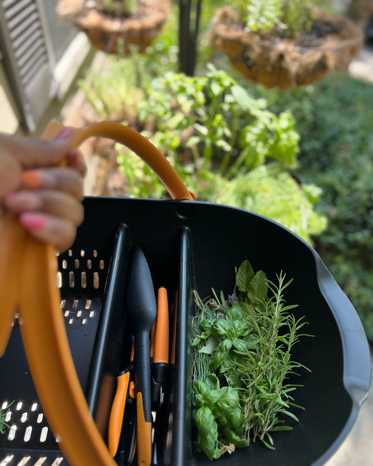 Learn how to create a thriving garden in your tiny outdoor space with our easy tips and affordable tools! Check out our blog post for the full step-by-step guide and product list all found @walmart or Walmart.com! https://liketk.it/4f8Z0 💚🌿 #ad #HerbGarden #SmallSpaceGardening #GardenTips #LTKHome #GreenThumbs

#LTKstyletip #LTKhome #LTKunder100
