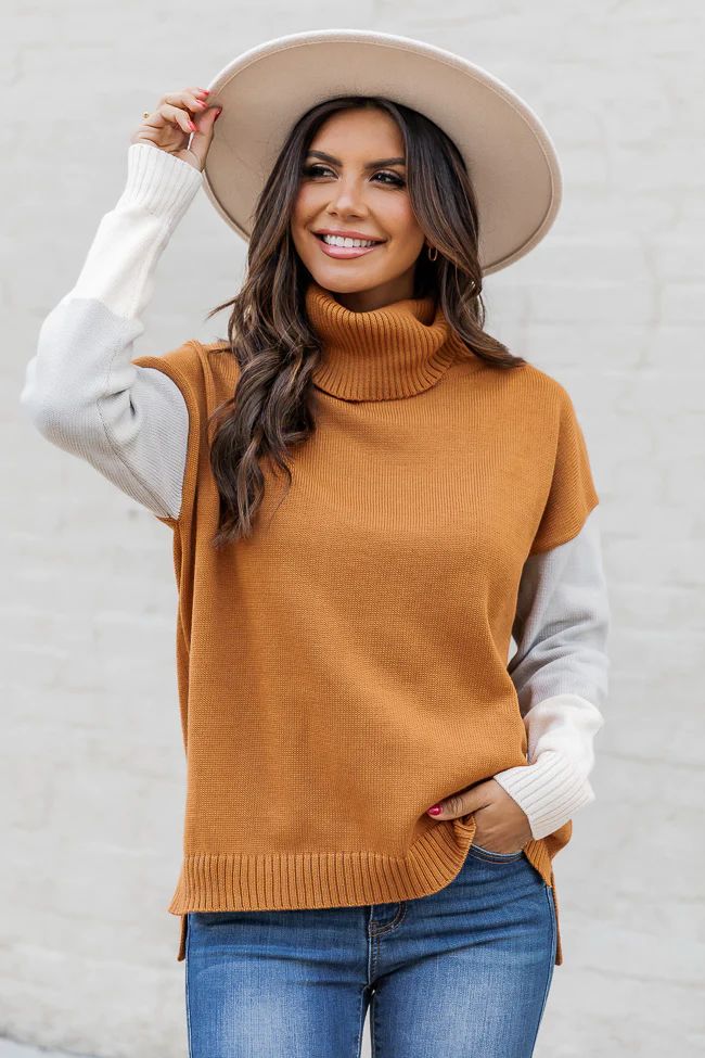 Furthest Thing Brown Multicolor Colorblock Turtleneck Sweater | Pink Lily