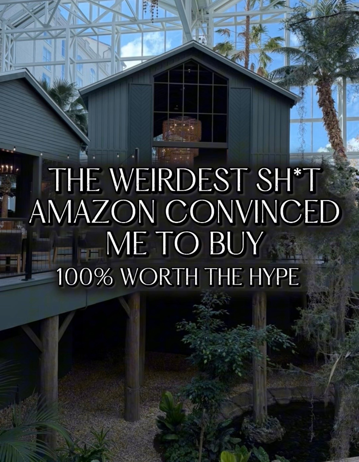The weirdest shit Amazon convinced me to buy 100% worth the hype