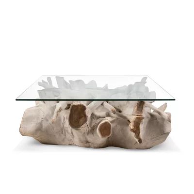 Bleach Teak Coffee Table Ibolili | Wayfair North America