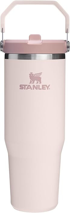 STANLEY IceFlow 2.0 Flip Straw Tumbler with Handle 30 oz | Twist On Lid and Flip Up Straw | Leak ... | Amazon (US)