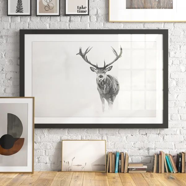 Elk Stare by Marmont Hill - Picture Frame Print | Wayfair North America