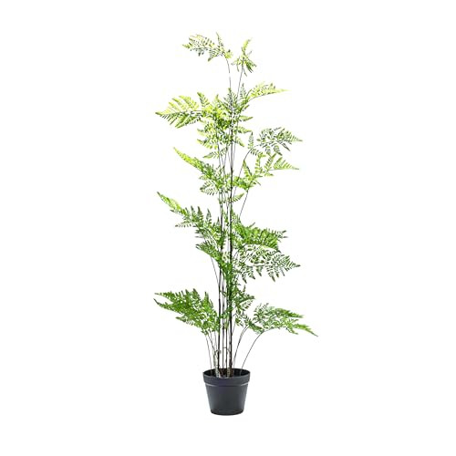 Creative Co-Op Faux Fern Tree in Plastic Pot, Green | Amazon (US)