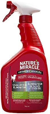 Nature's Miracle Advanced Stain & Odor Remover Just for Dogs, Pet Stain Eliminator, 946mL (Spray ... | Amazon (CA)