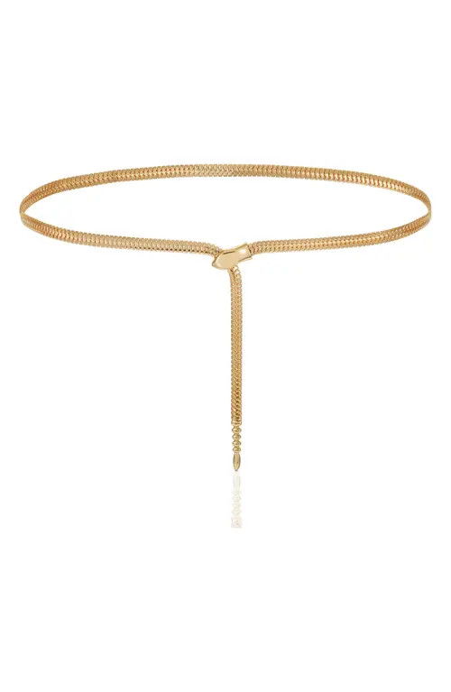 Ettika Minimalist Chain Belt in Gold at Nordstrom | Nordstrom
