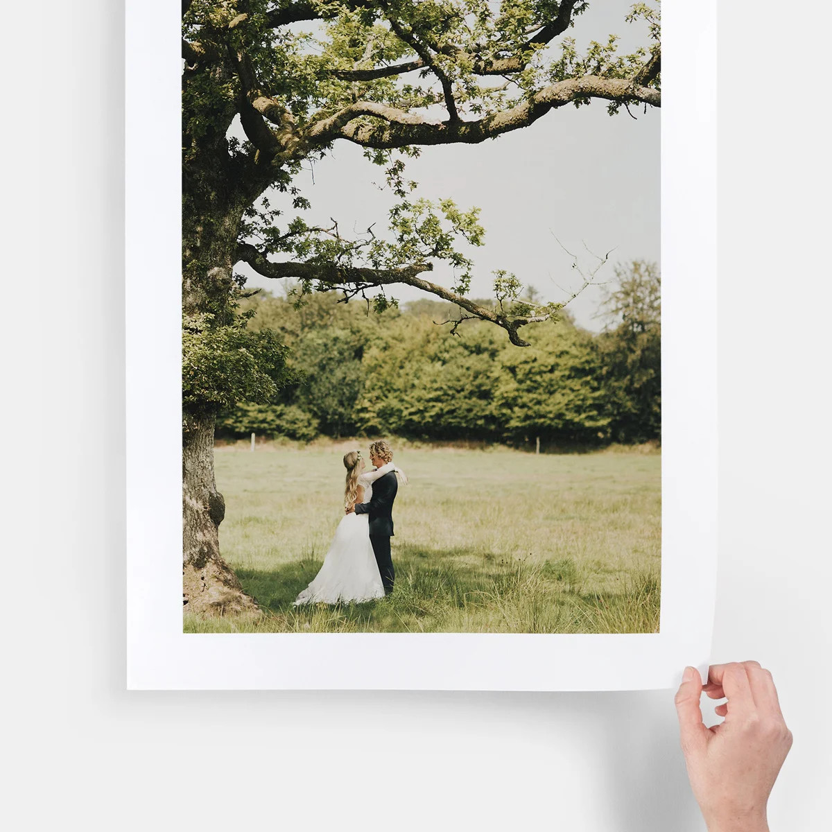 Large Photo Prints, Fine Art Prints | Artifact Uprising | Artifact Uprising