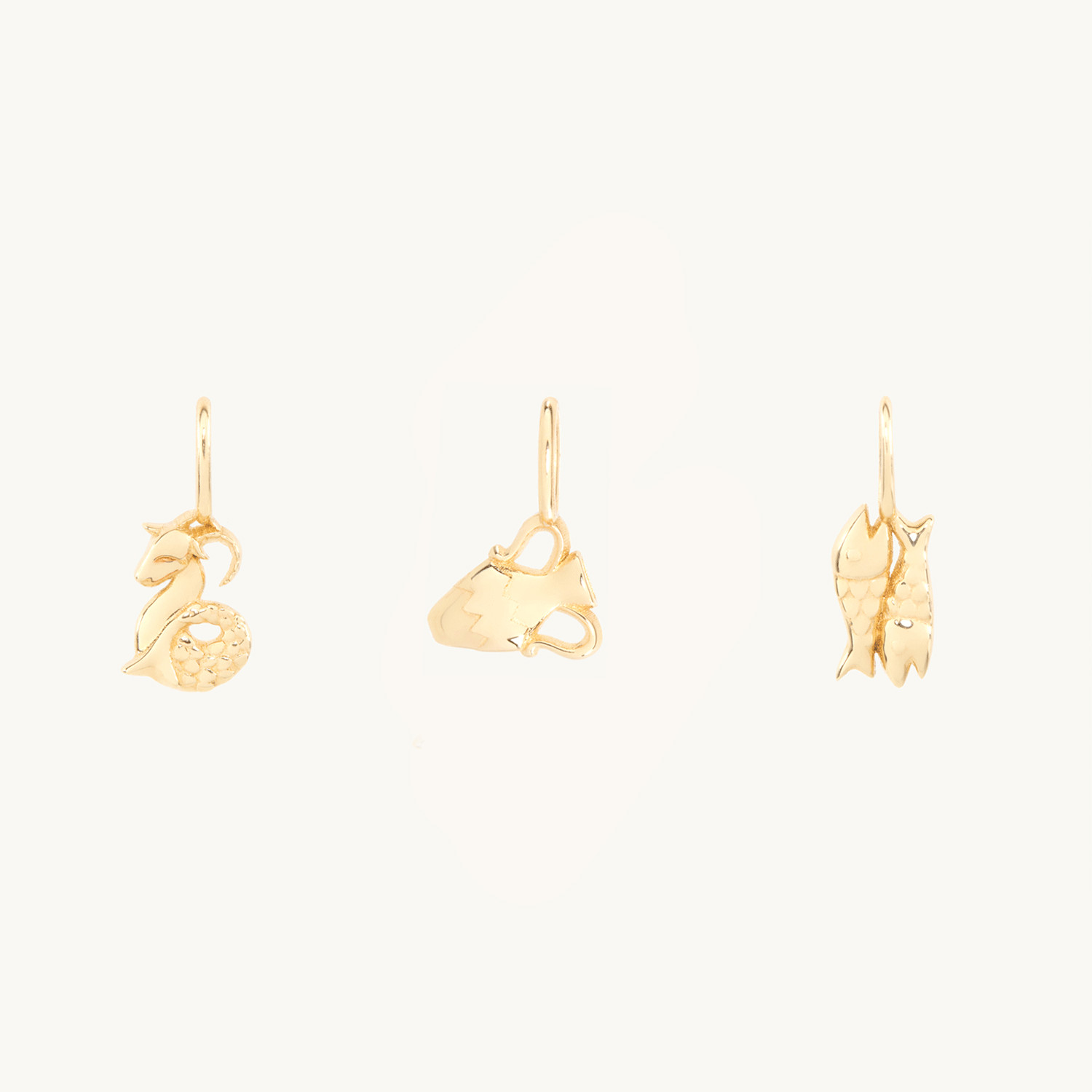 Tiniest Zodiac Charm | Catbird