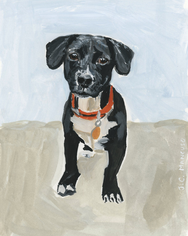 Black and White Puppy Portrait | Artfully Walls