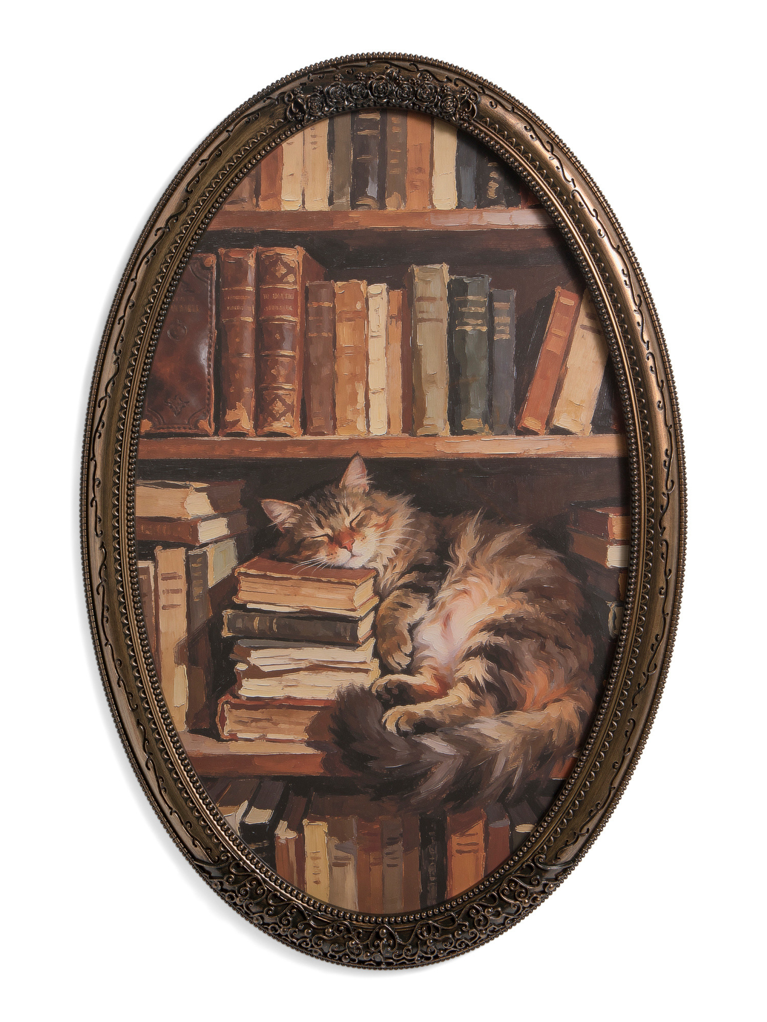 20x30 Bookshelf Cat Oval Wall Art | TJ Maxx