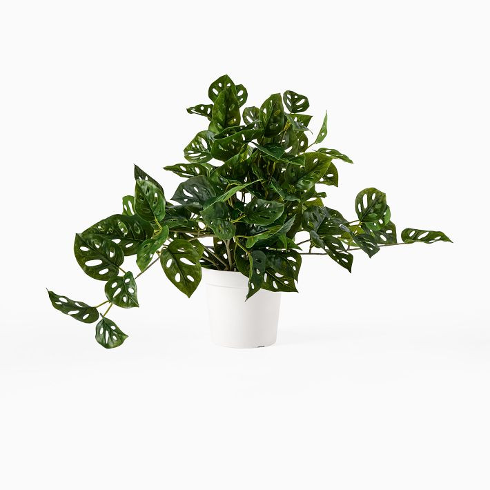 Faux Potted Trailing Monstera Plant | West Elm (US)