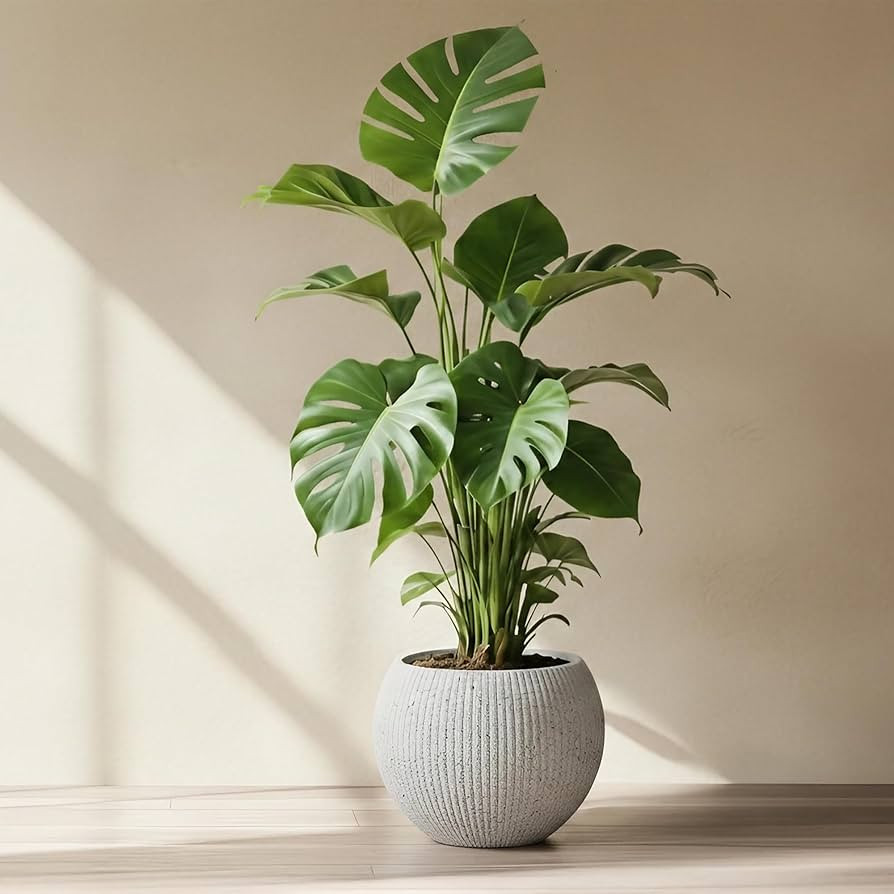 Marlo Fiberstone Round Planter (14.6" Pot Opening x 21.3"D x 16.5"H) Ribbed Finishes, Lightweight... | Amazon (US)