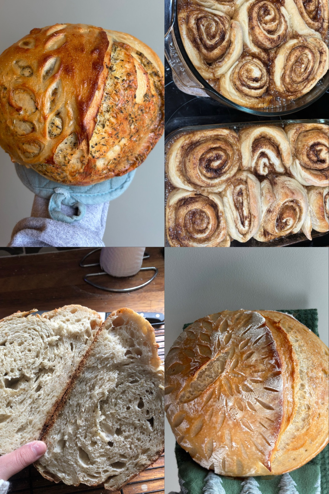 Recent baked goods and buys! TN does not require a cottage license to sell baked goods! Super fun to be able to provide for our family in a creative way!

#LTKFamily #LTKWatchNow #LTKGiftGuide