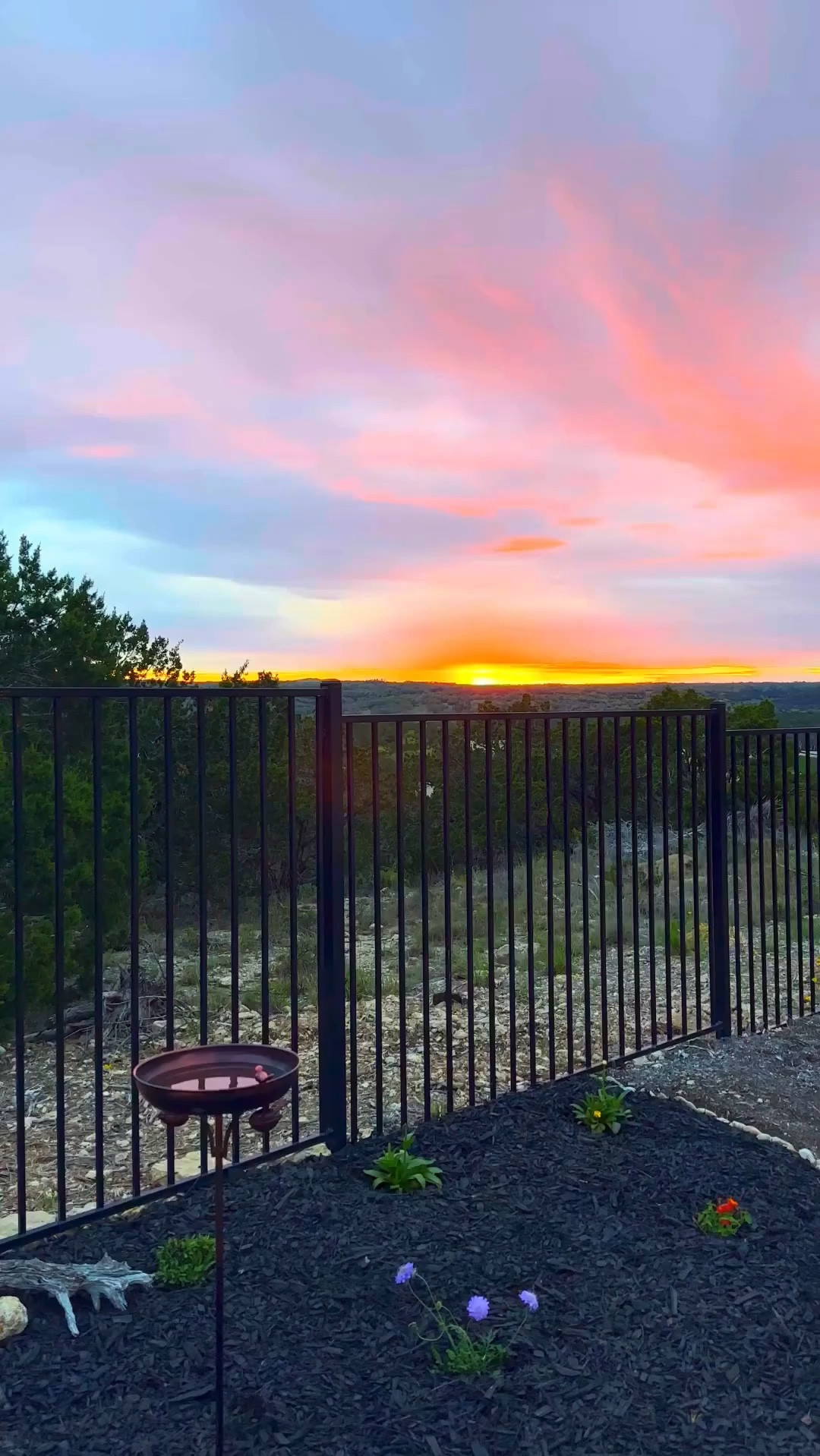 Obsessed with our new butterfly garden! 🥹

#LTKfamily #LTKhome #LTKSeasonal
