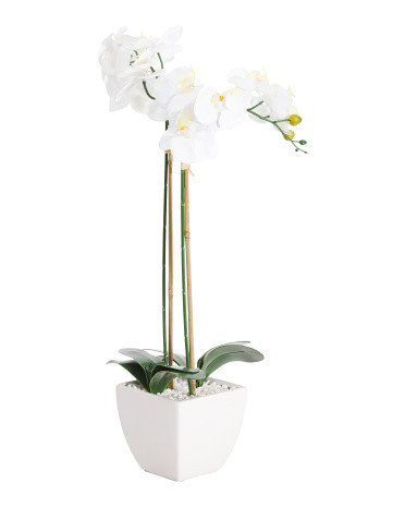 28in Natural Touch Orchid In Ceramic Pot | TJ Maxx