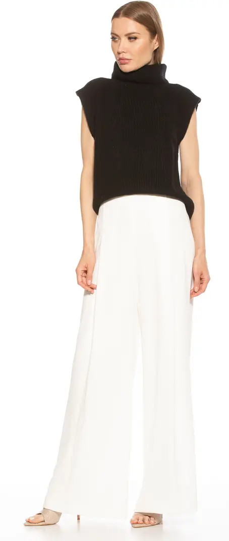 Jaylani Sleeveless Turtleneck Sweater | Nordstrom Rack