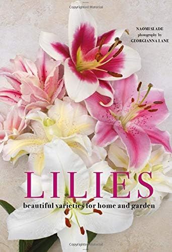 Lilies: Beautiful Varieties for Home and Garden | Amazon (US)