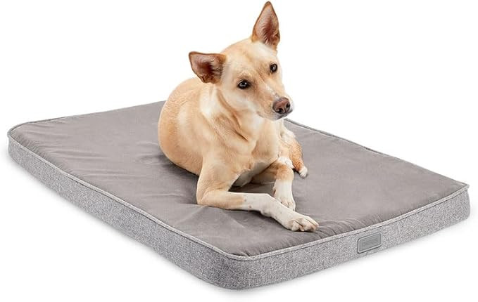 Diggs Snooz Memory Foam Dog Bed - Ideally Sized Revol Dog Crate Pad - Premium Orthopedic Pet Bed ... | Amazon (US)
