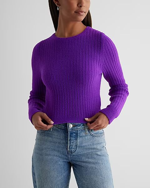 Fitted Ribbed Plush Knit Crew Neck Sweater | Express