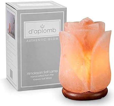 d'aplomb 100% Authentic Natural Himalayan Salt Lamp; Hand Carved Flower Rose Pink Crystal Rock Sa... | Amazon (US)
