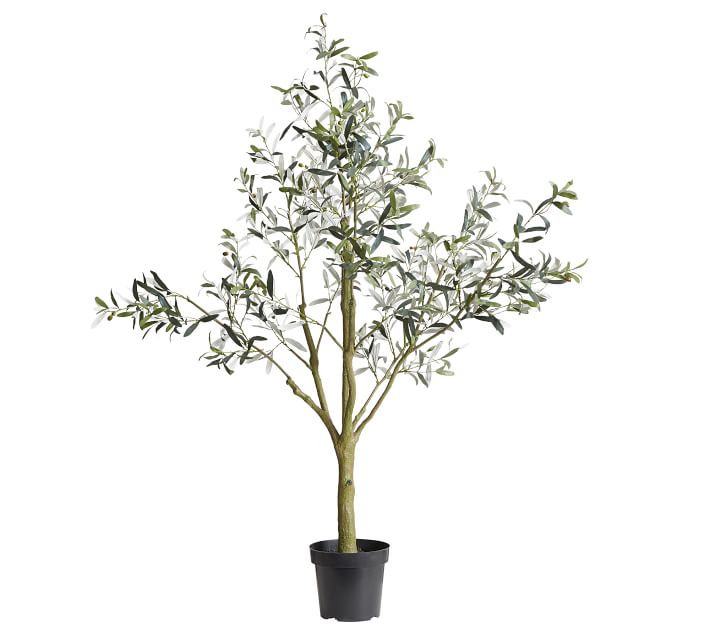 Faux Potted Olive Tree, Large | Pottery Barn (US)