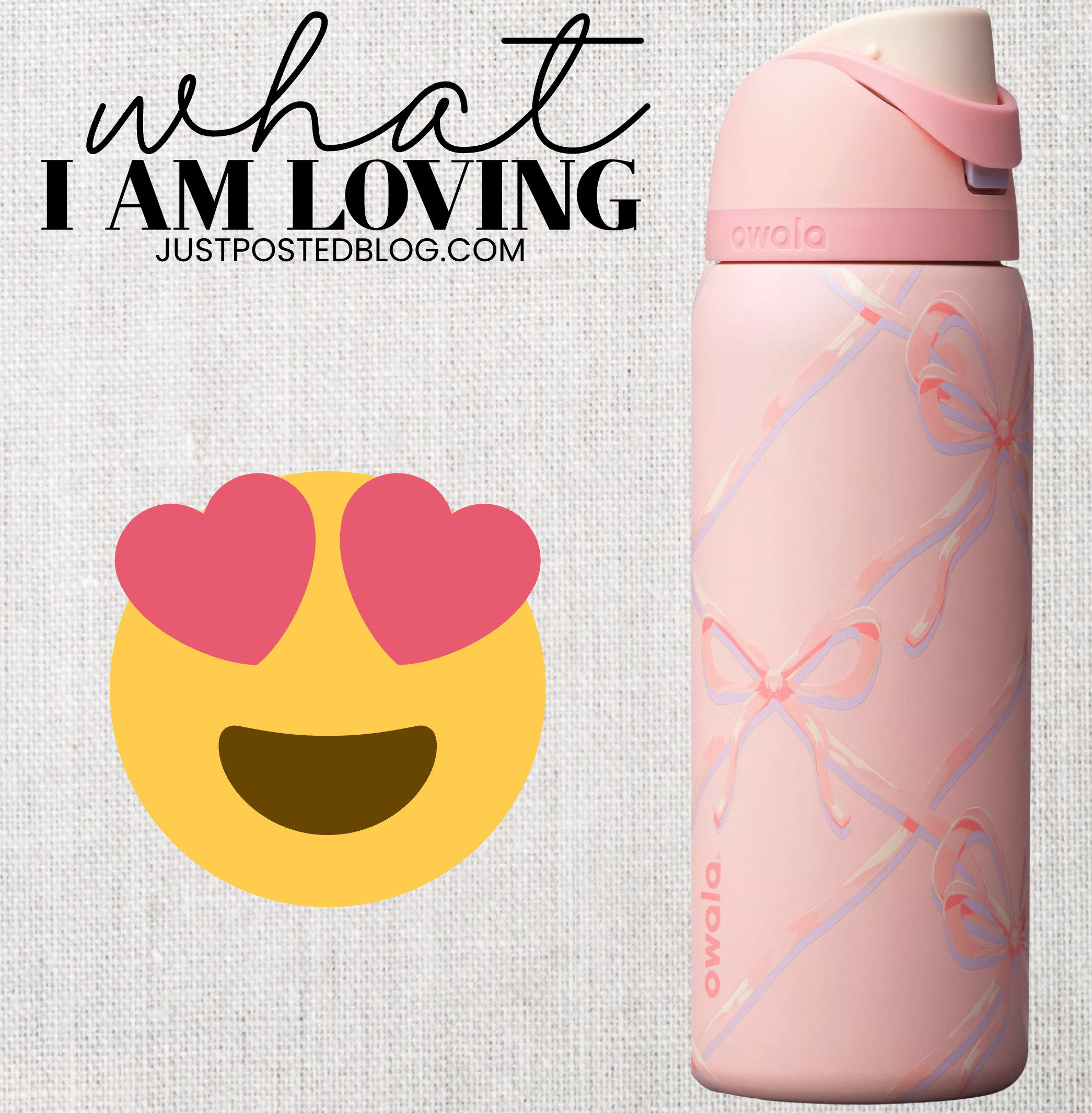 Cute new bow water bottle 

 #LTKHoliday