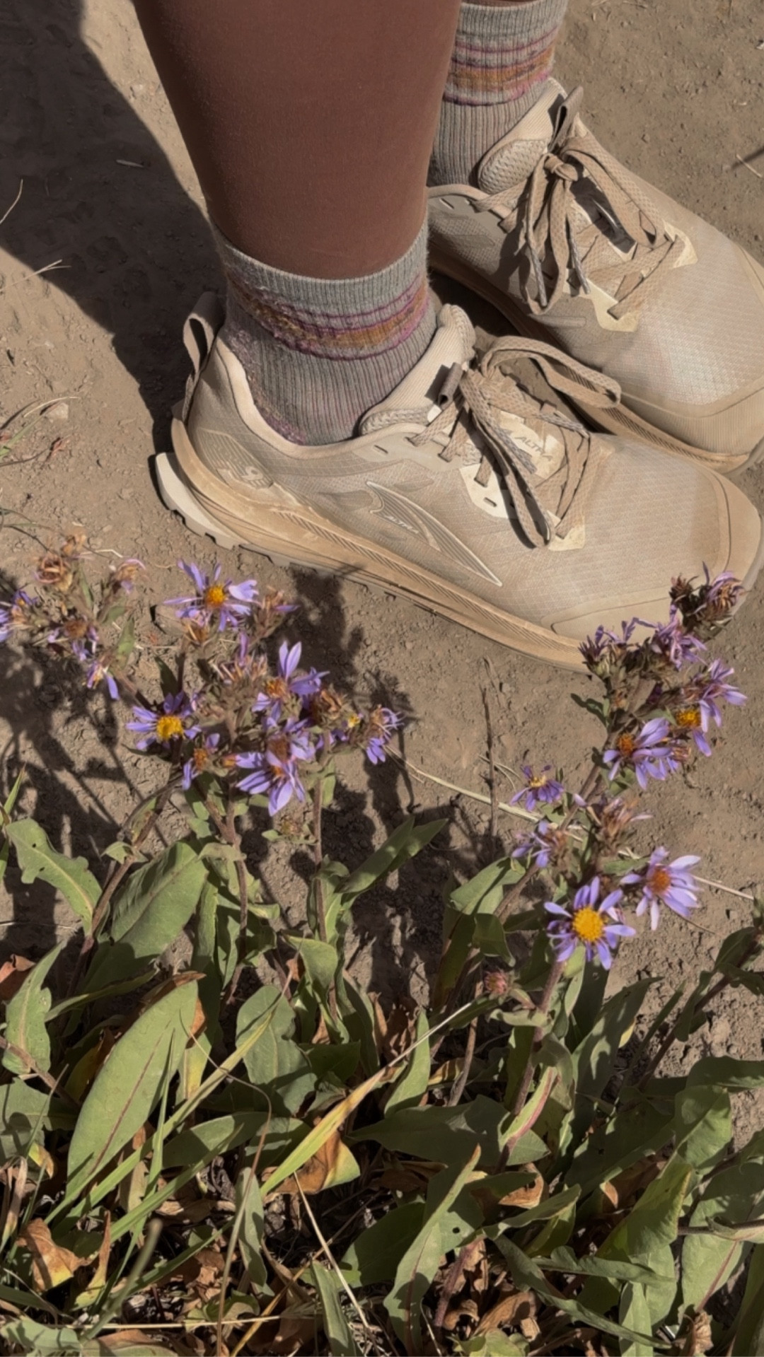 Altra Lone Peaks are worth the hype! My new favorite hiking/backpacking/trail running shoe👏🏼 #hiking #hikingshoes #altra #altrarunning 

#LTKActive