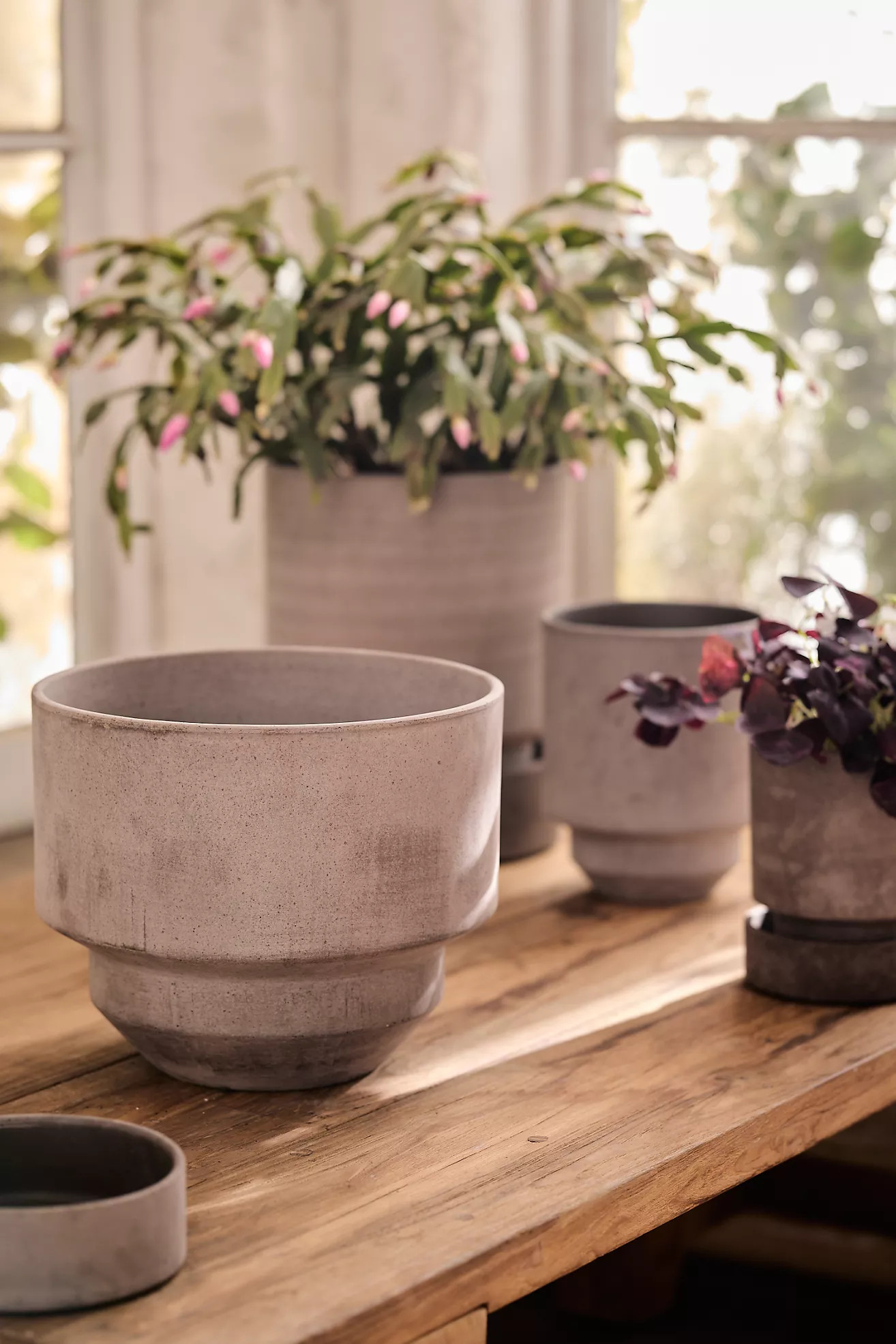 Bergs Hoff Terracotta Pot | Terrain