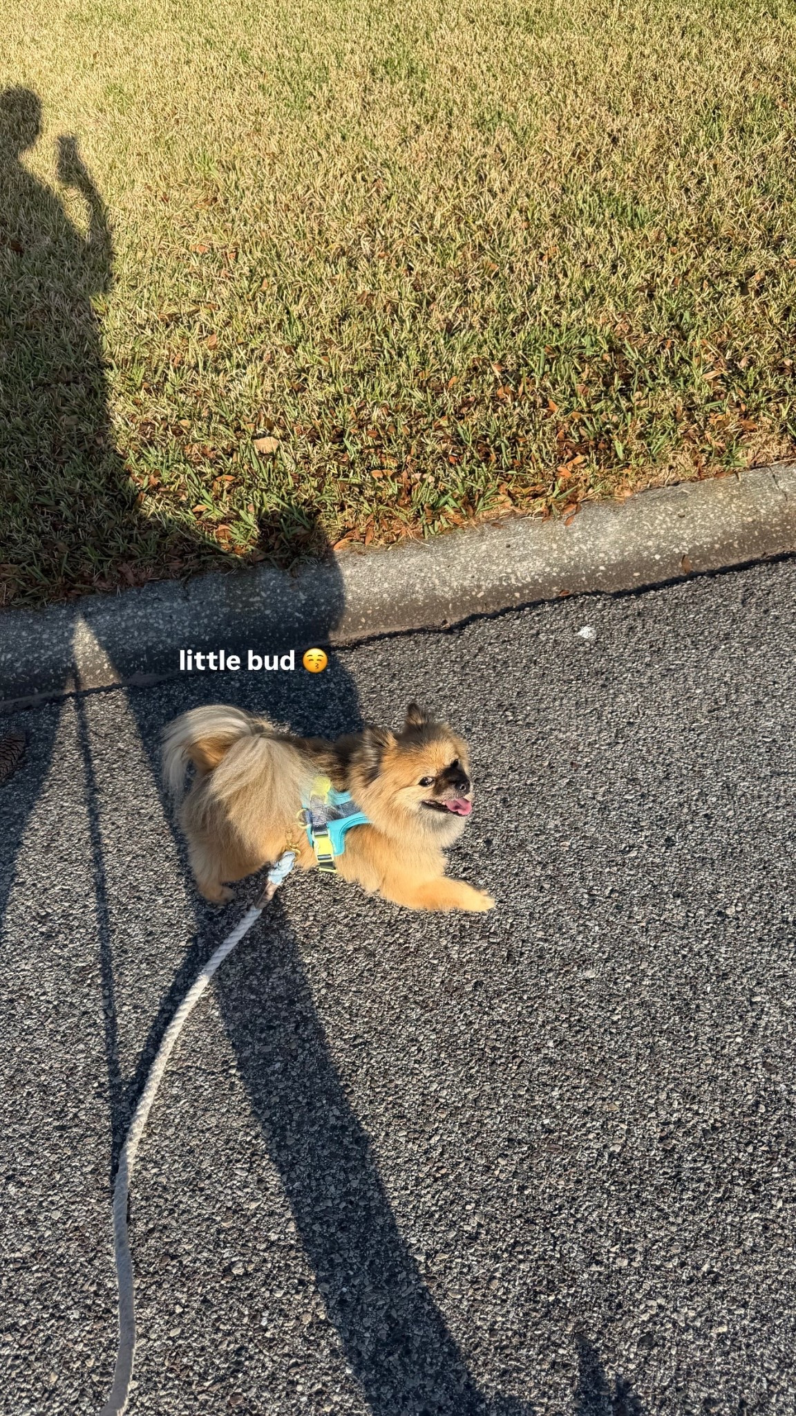 little bud 😚 @wildone